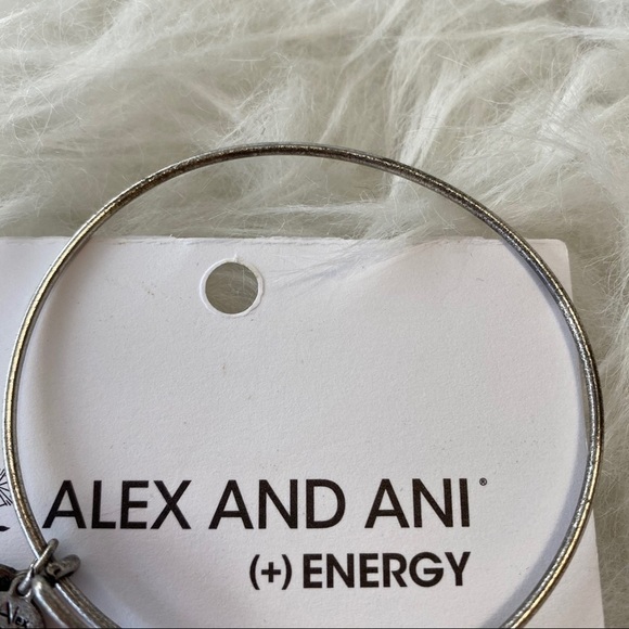 Alex and Ani Bangle Om Hindu Symbol Silver Tone - Picture 5 of 5